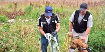 Rastrillajes en la zona del barrio Pratt donde aparecieron los restos óseos\u002E (Foto: El Territorio)