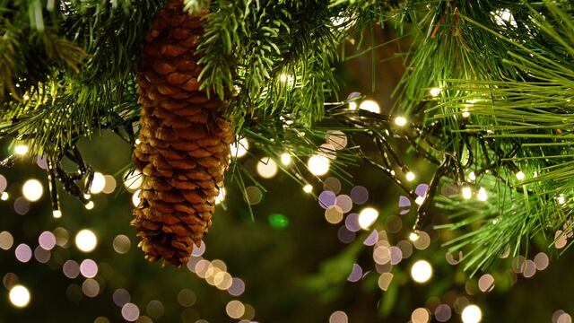 Mágica Navidad: organizan un concurso para elegir la “Mejor Vidriera” de Azul