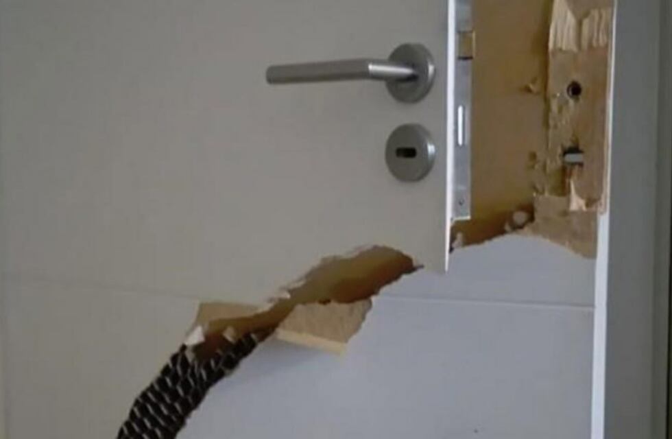 "Rompepuertas" desvalijaron departamentos en el Centro