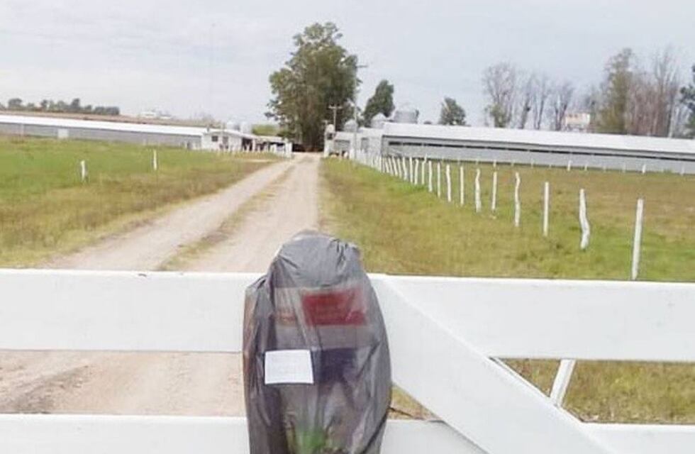 Maestras rurales llevan la tarea a las tranqueras