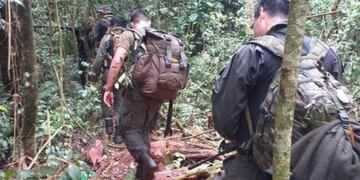 Reserva Yabotí: frustraron el robo de madera nativa