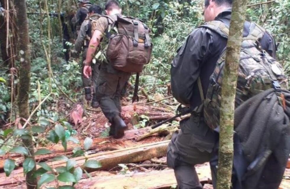 Reserva Yabotí: frustraron el robo de madera nativa