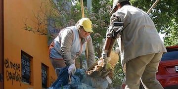 Limpieza en espacios públicos y barrios de Necochea