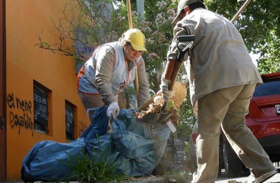 Trabajos de limpieza cubren espacios públicos y diversos barrios