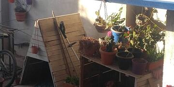 El ladrón usurpó la cucha del perro\u002E