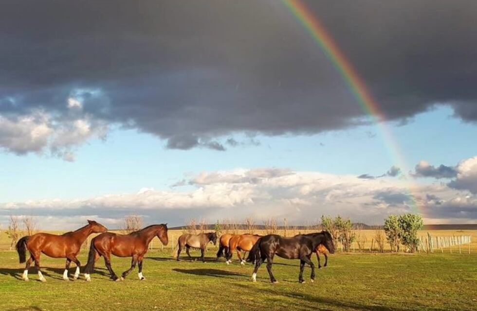 Río Gallegos: 13°concurso fotográfico Estancias de la Patagonia