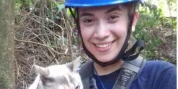Un gato estuvo 3 días en un árbol hasta ser rescatado por los Bomberos en Iguazú