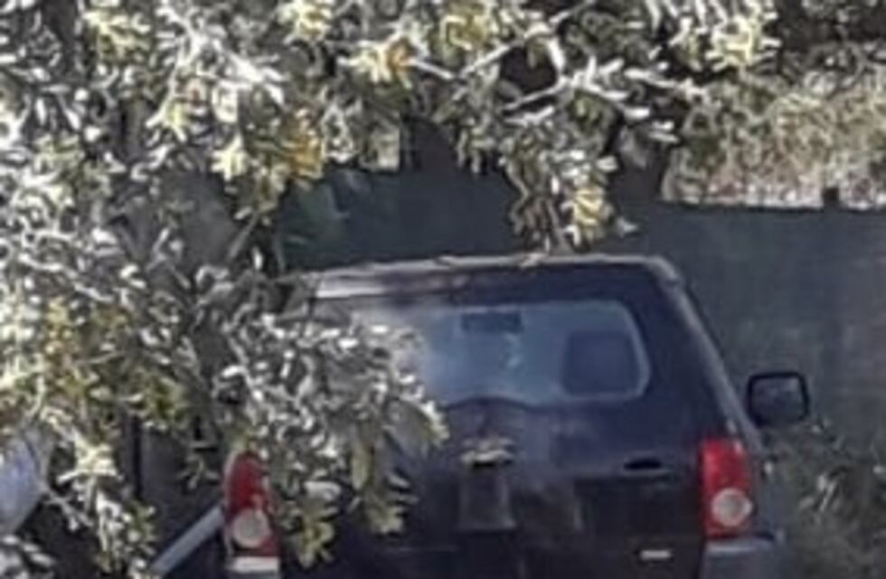 Alta Gracia: recuperaron una camioneta que fue robada en Córdoba