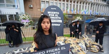 Integrantes de la organización ambientalista en las puertas de la Casa de Gobierno\u002E (Greenpeace)