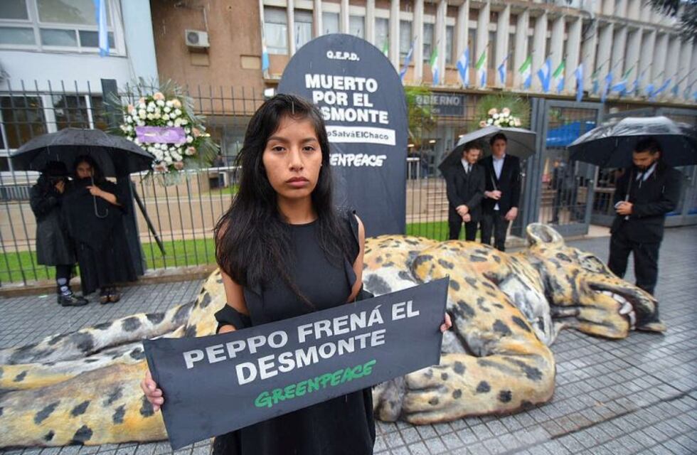 "Velaron" a un "yaguareté" en la entrada de la Casa de Gobierno del Chaco