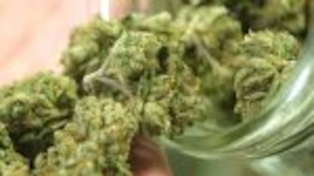 Ya son legales los medicamentos en base a cannabis en Santa Fe.