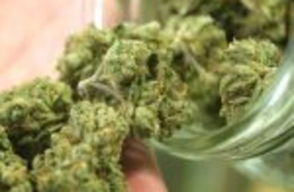 Ya son legales los medicamentos a base de cannabis en Santa Fe