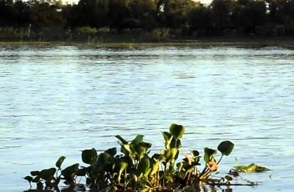 En pleno paro general, pescador encontró el cuerpo de un hombre en el río Colastiné