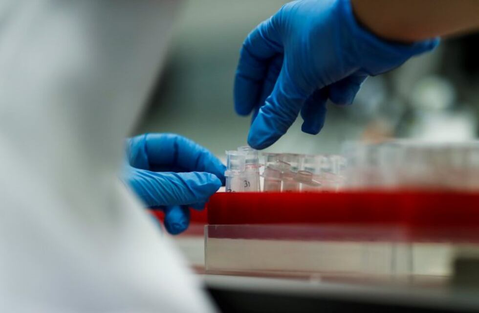 Polio: usan plantas para producir nueva vacuna