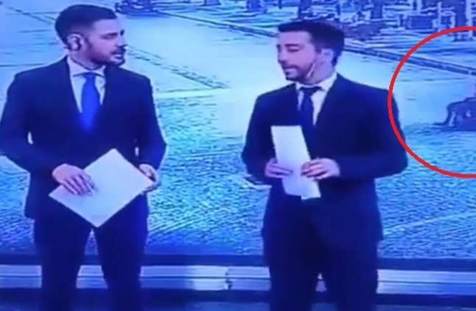 Un desopilante hecho se pudo ver en vivo en Canal 9
