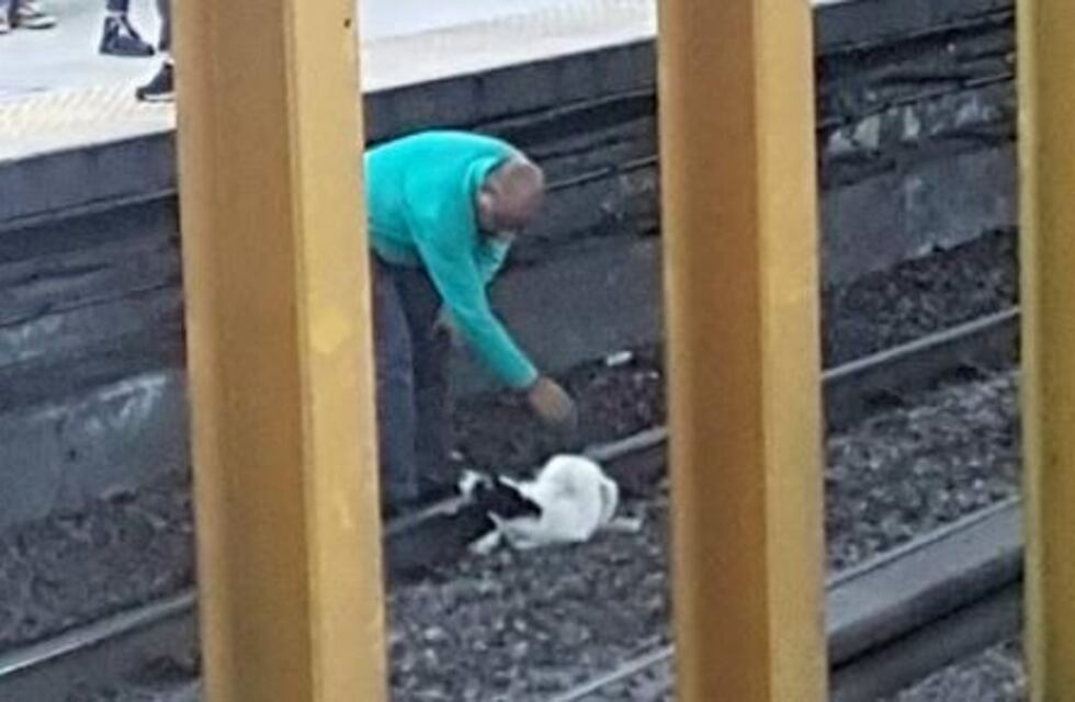 Un perro mantuvo interrumpida la línea B del subte durante una hora