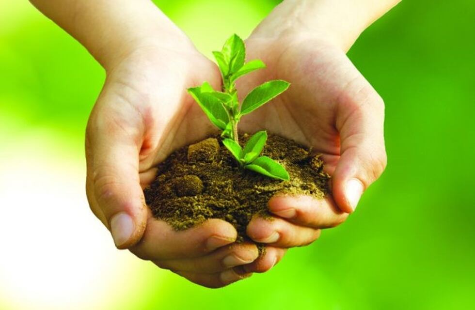 Salsipuedes: inaugurarán el Vivero Municipal de Plantas Nativas