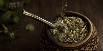 Mate (Foto: CBSé/MEK Comunicación)