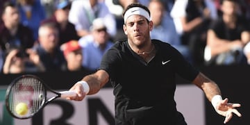 Juan Martin Del Potro