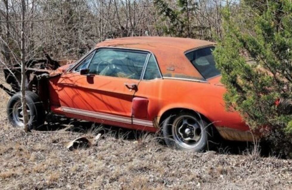 Tuvo 20 años un auto abandonado sin saber que valía una fortuna