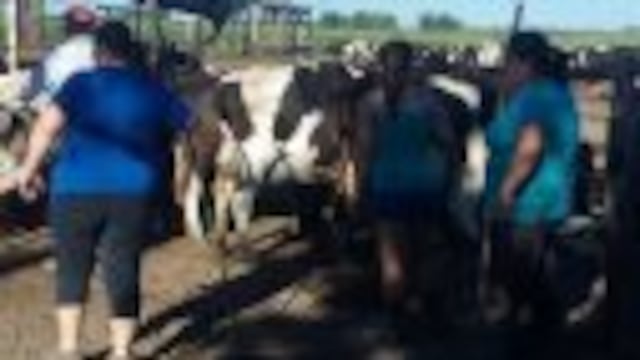 Estiman que hubo 500 campos que dejaron de producir como consecuencia del temporal de abril.