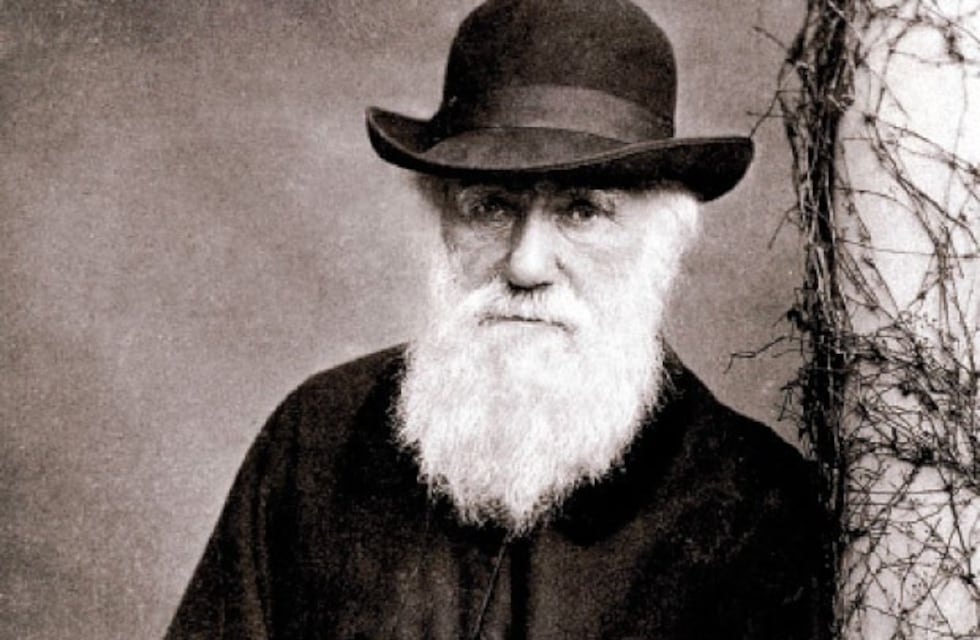 Mes de Darwin en Punta Alta