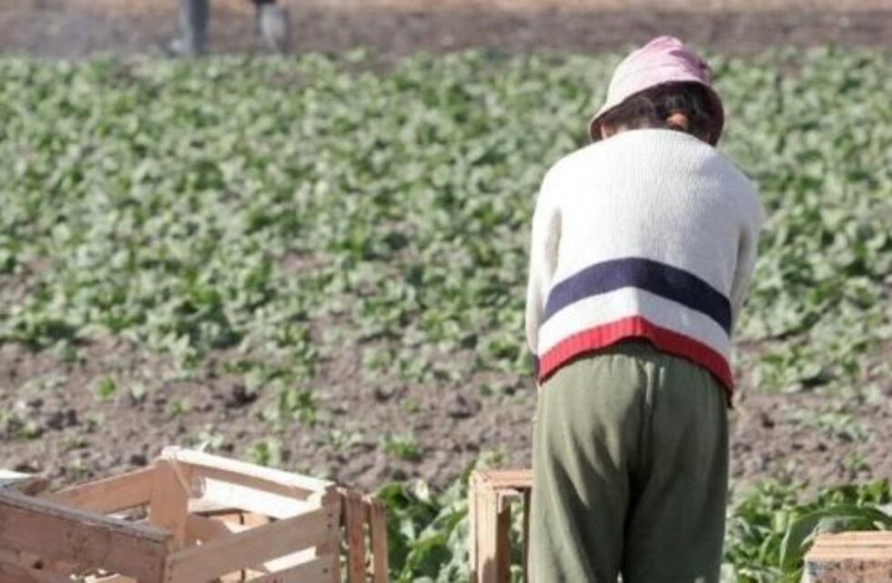 Tres niños eran explotados en una finca de Lavalle