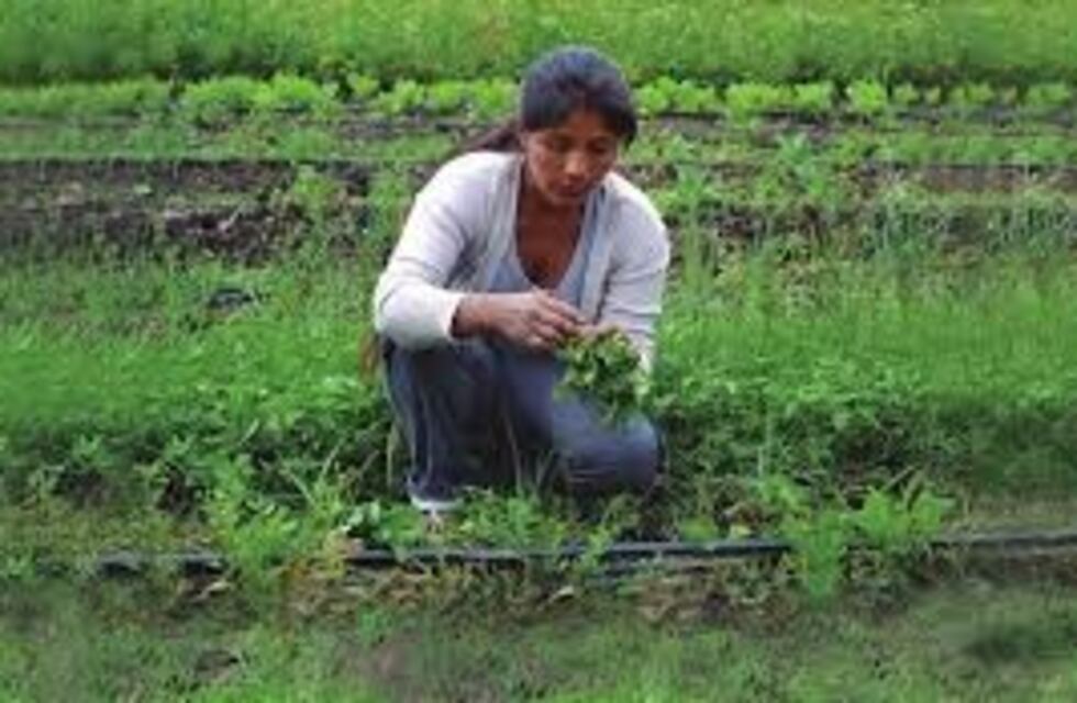 Preocupación de productores rurales por el impacto de la suba del dólar