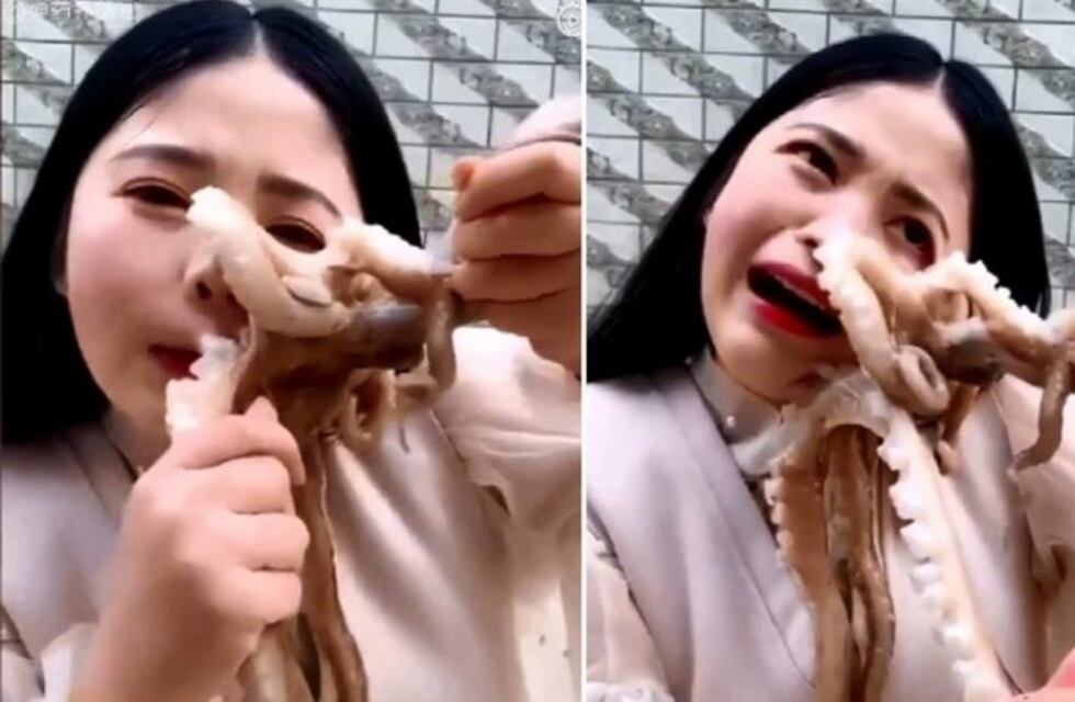 Una bloguera intentó comerse un pulpo vivo, pero el animal se defendió y el video se volvió viral