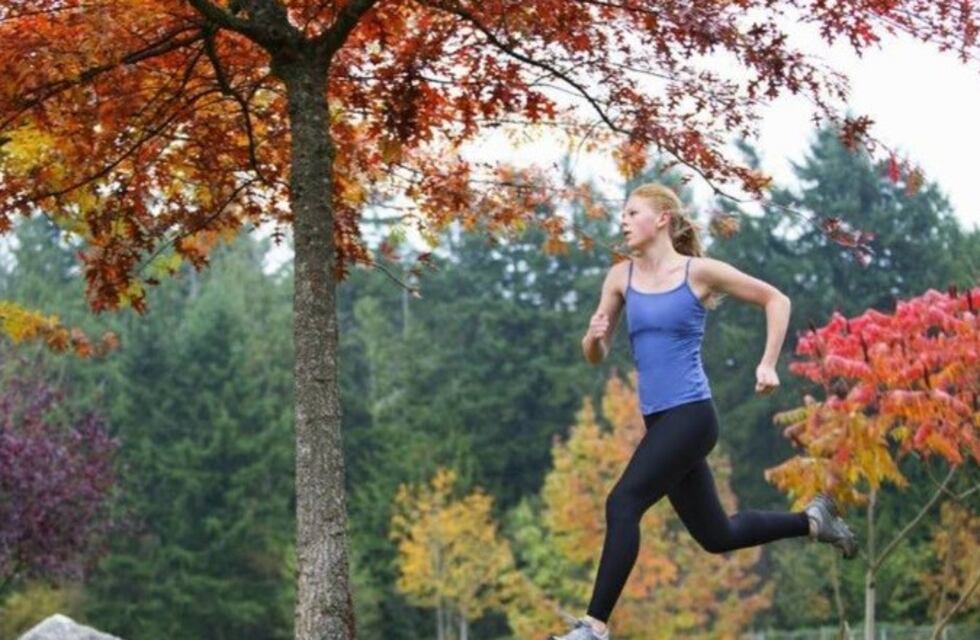 El tiempo en Mendoza: alerta meteorológico por vientos intensos en zona cordillerana
