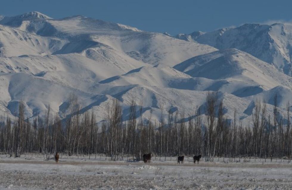 ¿Qué se puede hacer en Mendoza durante el fin de semana XL?