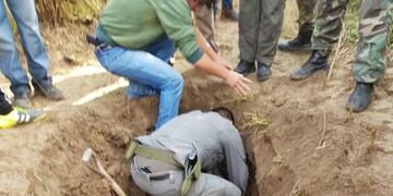 En uno de los campos arrendados por los hermanos, encontraron 275 kilos de marihuana\u002E