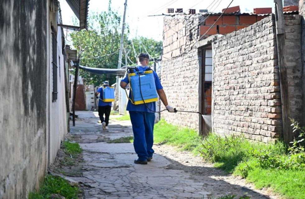 Crean mapa interactivo de las zonas fumigadas contra el dengue
