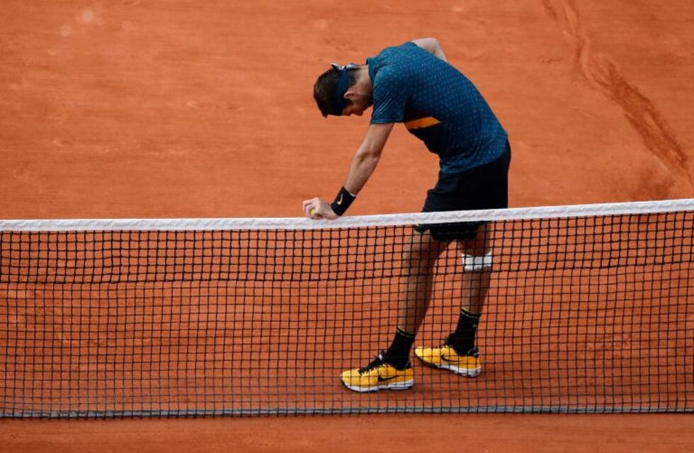¿Adiós Juan Martín del Potro?