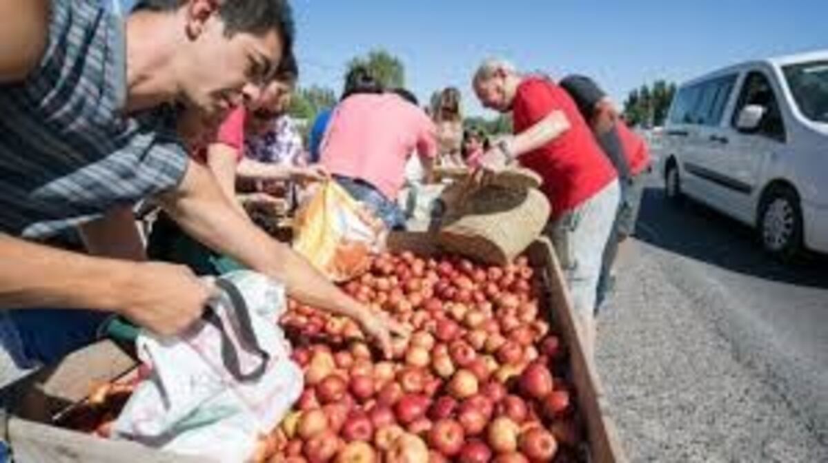 Chacareros regalarán manzanas en Cipolletti\u002E Archivo\u002E