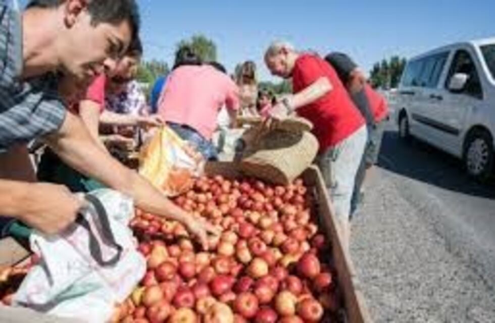 Productores regalan 20 mil kilos de manzana en Cipolletti