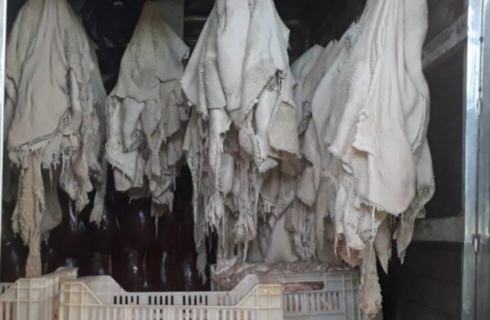 Clausuraron una conocida carnicería sanjuanina por tener mercadería en mal estado