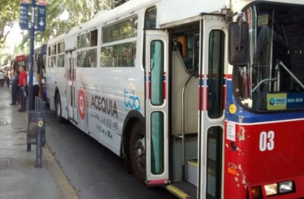 Los micros ecológicos estarían en la calle antes de fin de año