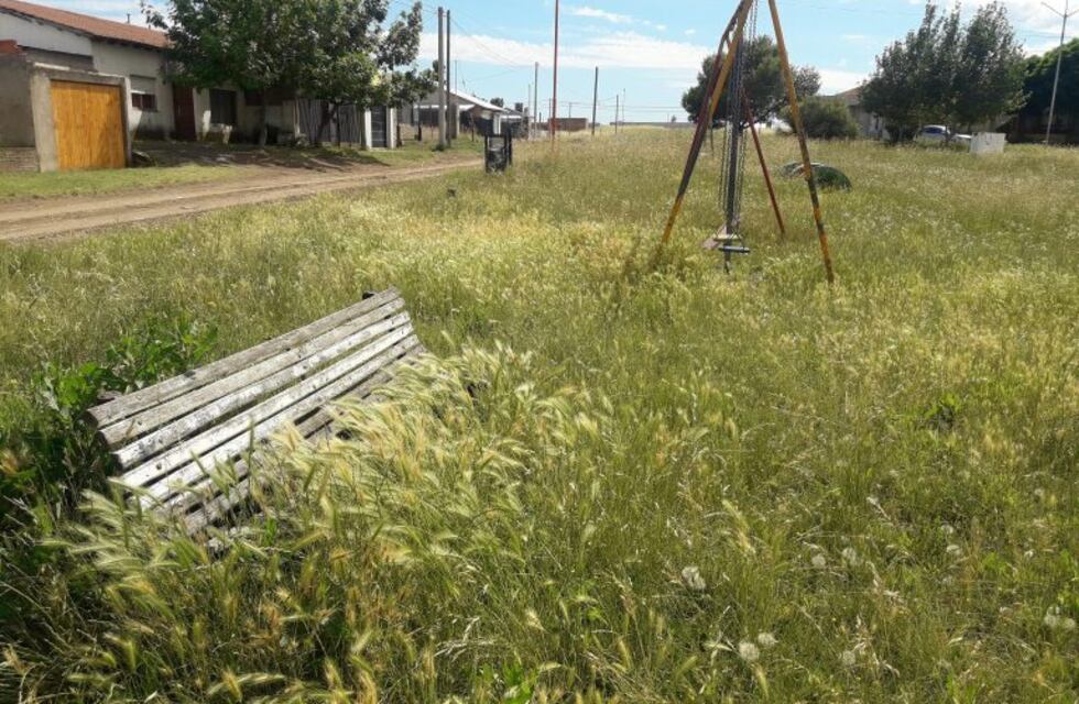 Piden masivo desmalezamiento para prevenir incendios