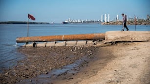 Los informes detectaron gran presencia de bacterias nocivas para la salud y metales pesados.