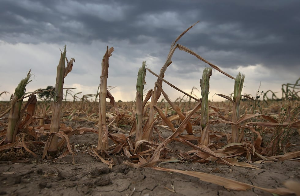 Sequía en Tandil: lanzan medidas fiscales que favorecen a los productores afectados