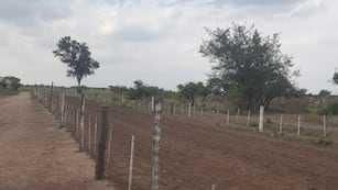 La adolescente se encuentra en grave estado tras ser golpeada por un caballo.