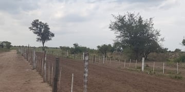 La adolescente se encuentra en grave estado tras ser golpeada por un caballo.