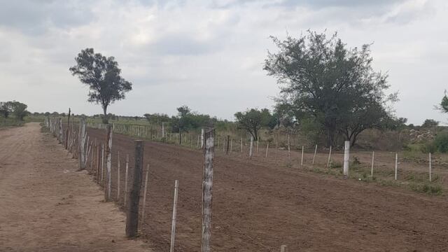 La adolescente se encuentra en grave estado tras ser golpeada por un caballo.