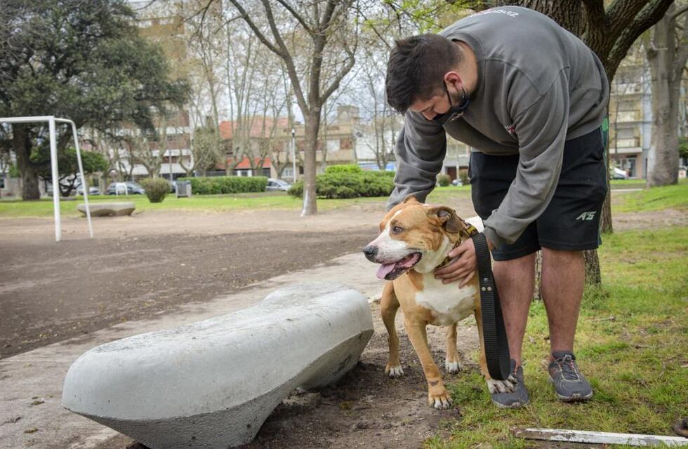Nuevas ubicaciones de los quirófanos móviles para animales