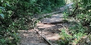 Los restos de lo que fuera un ambicioso proyecto se funden con la selva.