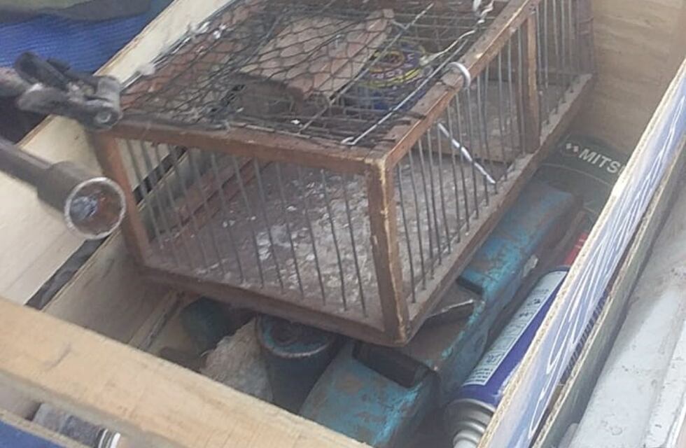 Colonia Caroya: lo detuvieron por trasladar ilegalmente dos Reina Mora