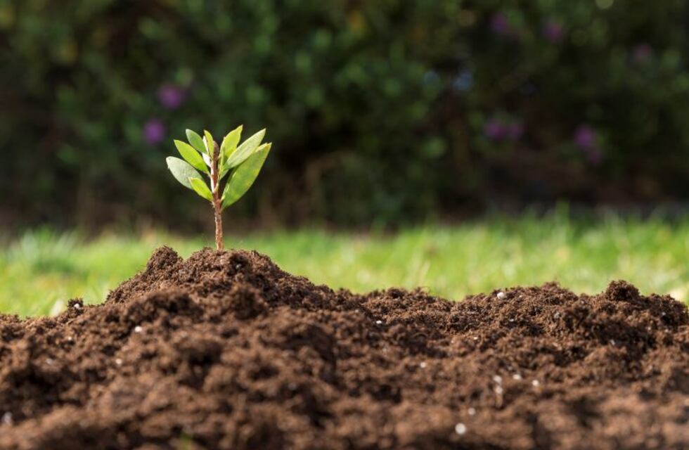 Rafaela celebra la semana del ambiente