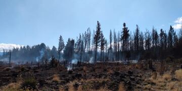 Bomberos lograron contener el incendio en Bariloche