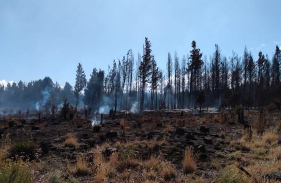 Bomberos lograron contener el incendio en Bariloche